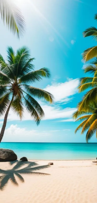 Tropical beach with palm trees under a bright blue sky.