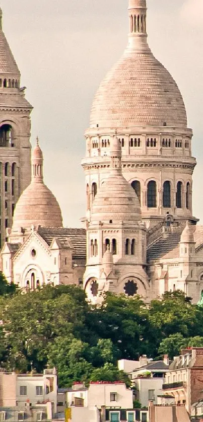 Sacré-Cœur Basilica in Paris cityscape wallpaper.