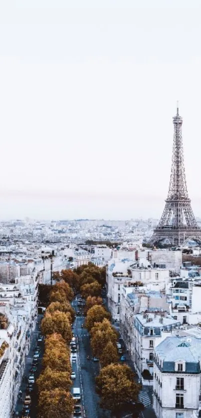 Paris skyline with Eiffel Tower in background.