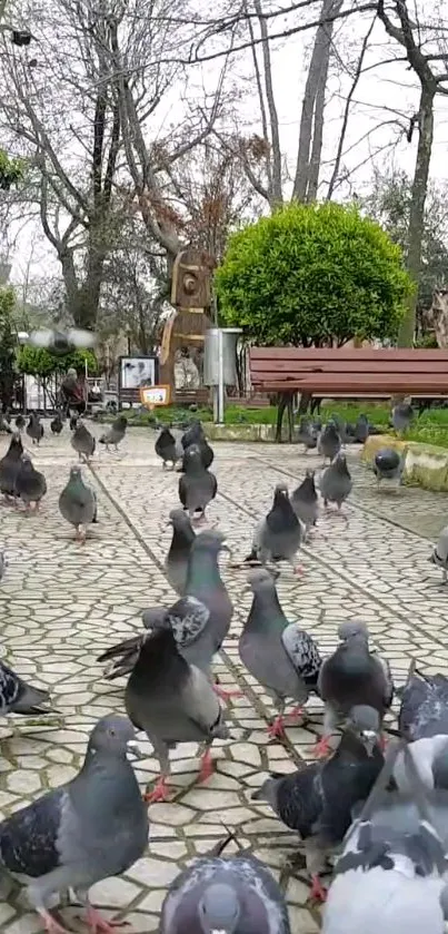 Flock of pigeons on a green park pathway on a cloudy day.