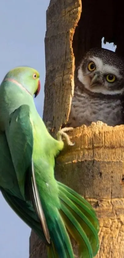 A vibrant green parrot looks at a curious owl in a tree hollow.