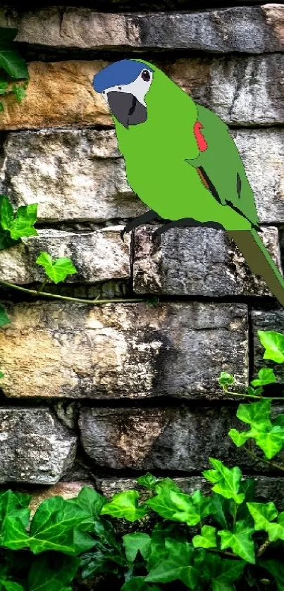 Parrot perched on ivy-covered stone wall.