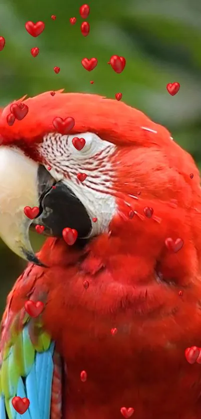 Vibrant parrot surrounded by red hearts on a leafy background.