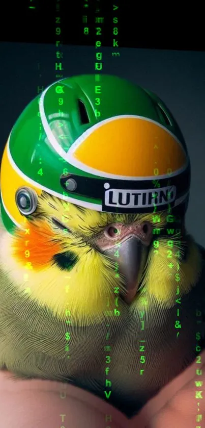 Quirky parrot wearing a helmet against digital background.