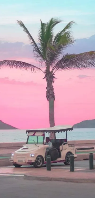 Pastel sunset with palm tree and cart.