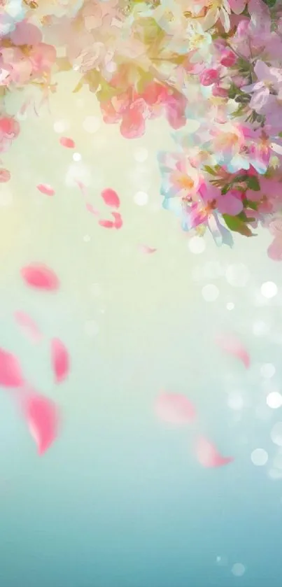 Mobile wallpaper with spring blossoms and petals.