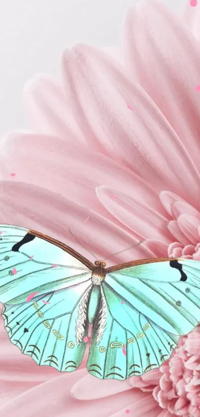 Pastel butterfly resting on a large pink flower, offering a serene mobile wallpaper.