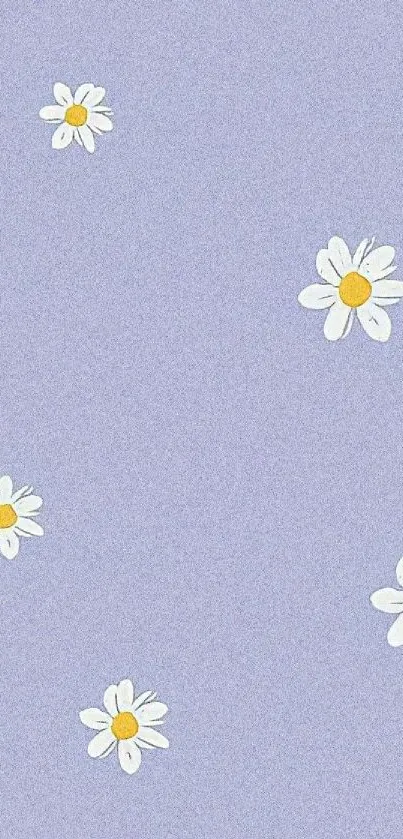 Mobile wallpaper with daisies on a lavender background.