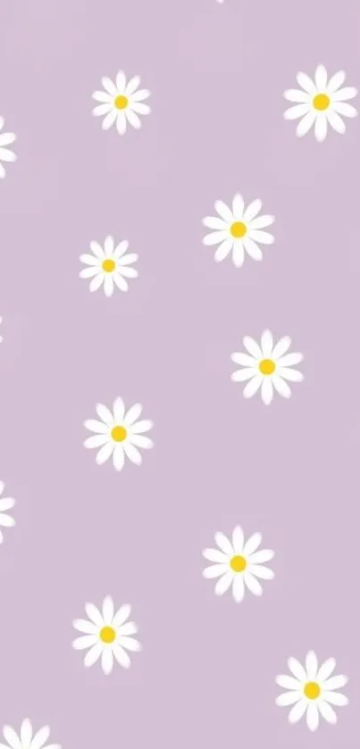 Pastel purple wallpaper with white daisies.