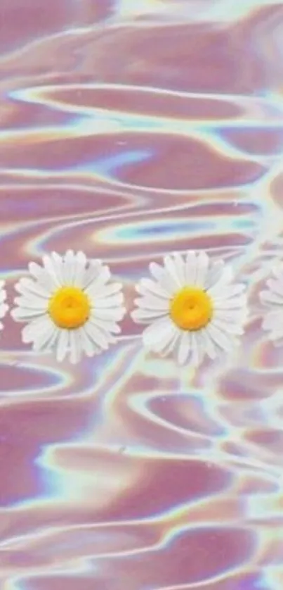 Pastel wallpaper with daisies and water ripples.