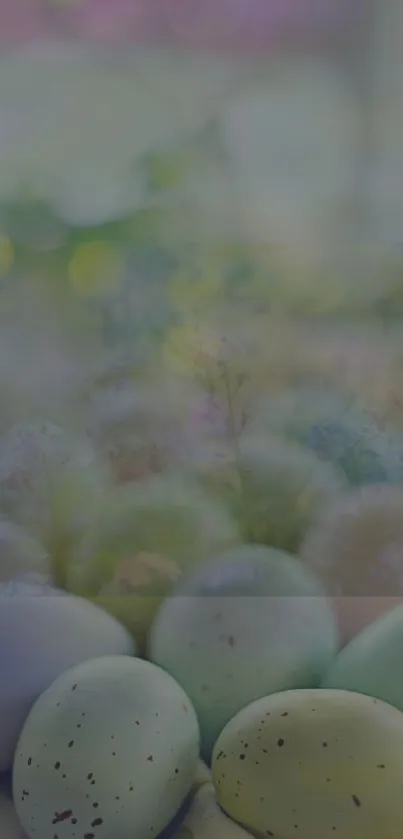 Pastel Easter eggs with blurred flowers create a calming mobile wallpaper.