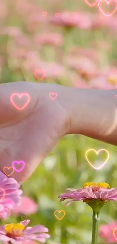 Hand touching pink flowers with heart overlays in a field.