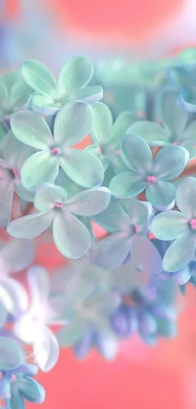 Pastel floral wallpaper with soft blue and pink hues.