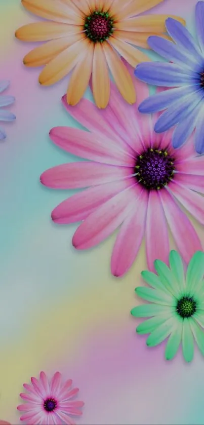 Pastel rainbow daisy mobile wallpaper with vibrant floral design.