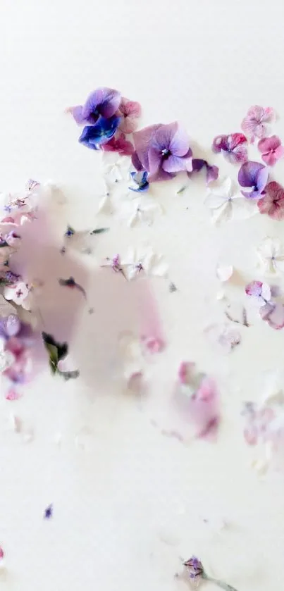 Pastel floral wallpaper with purple and pink flowers on a light background.