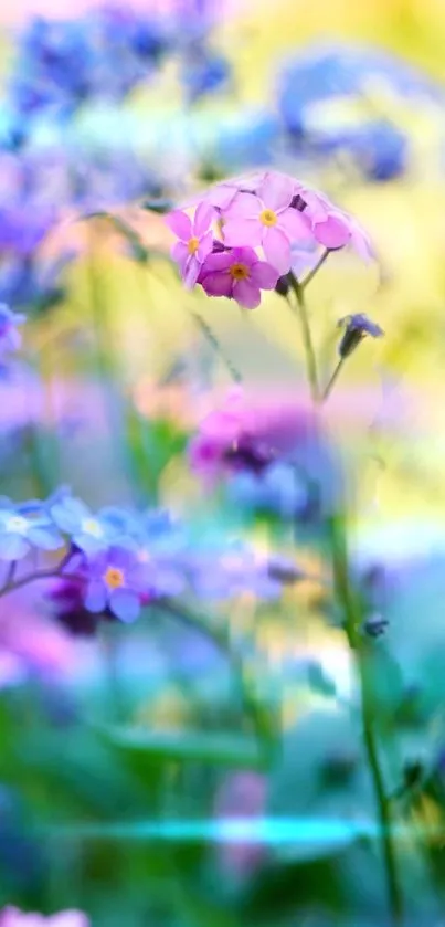 Colorful pastel floral wallpaper with pink, purple, and yellow flowers.