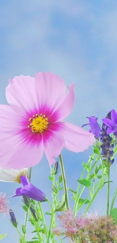 Pastel flowers with blue sky background on wallpaper.