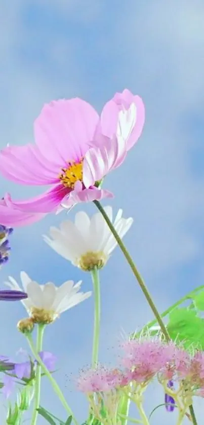 Delicate pastel flowers against a soft blue sky.