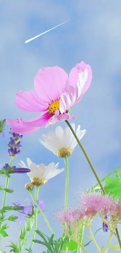 Mobile wallpaper with pastel flowers under a light blue sky.