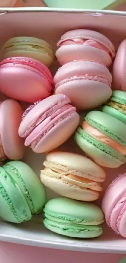 Box of colorful macarons in pastel hues.