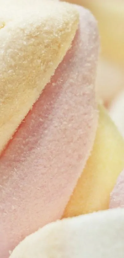 Pastel marshmallow close-up wallpaper.