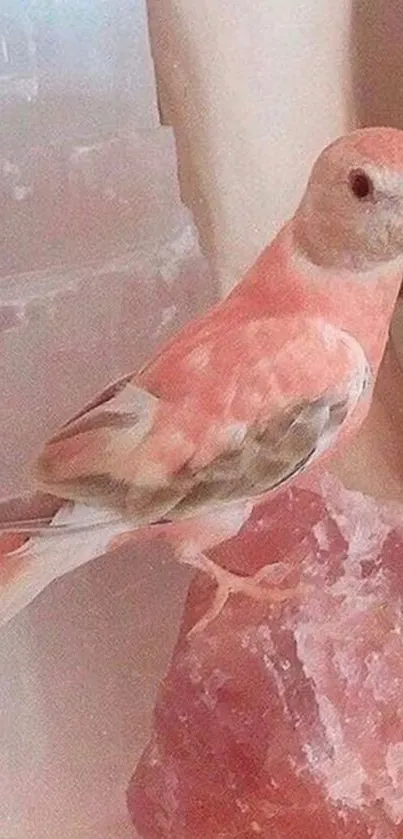 A pastel pink parrot perched on a rose crystal in soft focus.