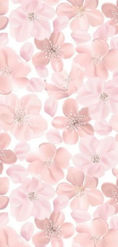 Delicate pastel pink floral pattern wallpaper.