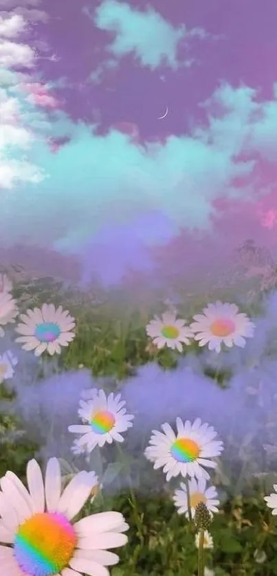 Colorful daisy field under a pastel sky.