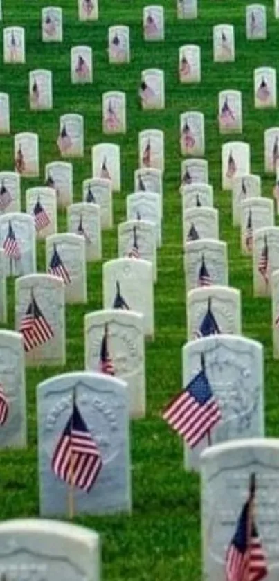 Rows of tombstones with American flags in a lush green cemetery.