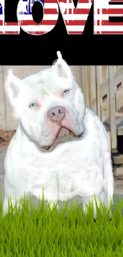 White dog on grass with 'Love' in flag style