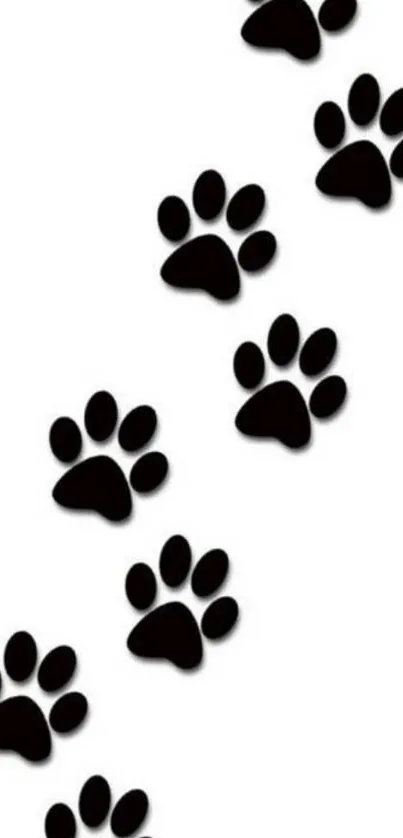 Black paws on a white background wallpaper.