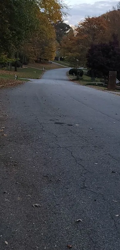 Serene asphalt road with autumn foliage, perfect for a calm mobile wallpaper.