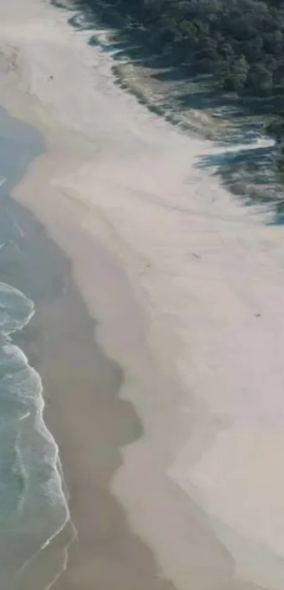 Aerial view of a peaceful beach with surf and forest.