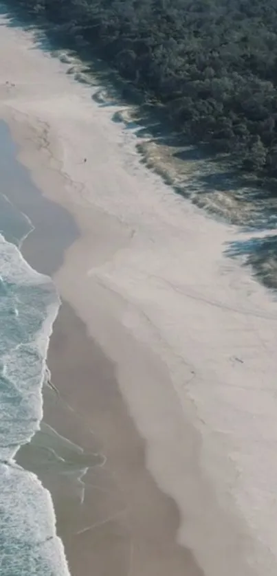 Aerial view of a tranquil beach with blue ocean waves and lush green forest.