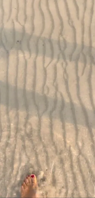 Footprints on sandy beach with sunlight pattern.