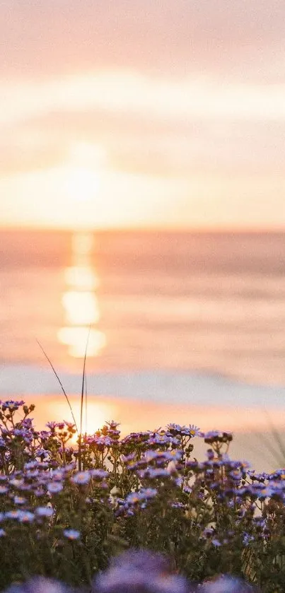 Tranquil beach sunset with purple flowers in the foreground.