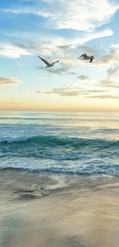 Peaceful beach with sunset and flying birds.