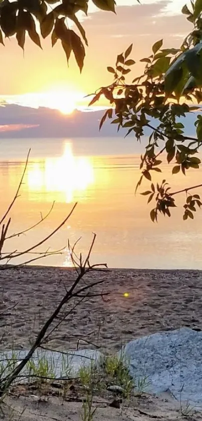 Beach sunset with golden sky and calm waters.