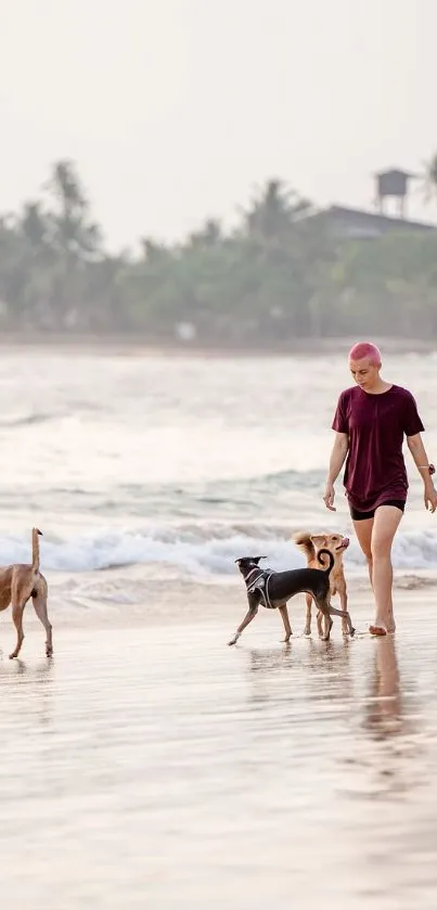 Person and dogs walking on a tranquil beach.