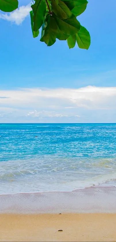 Serene beach wallpaper with ocean, sky, and lush greenery.