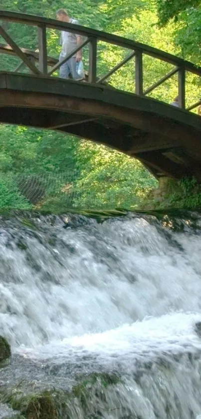 Wooden bridge over a cascading waterfall in a lush green forest.