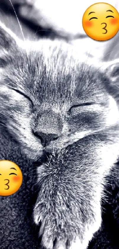 Serene black and white cat sleeping with emojis.