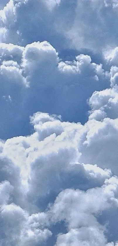 Fluffy white clouds against a sky blue backdrop.