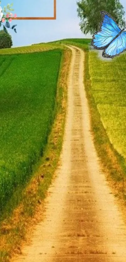 Serene country path with butterfly and lush green fields.