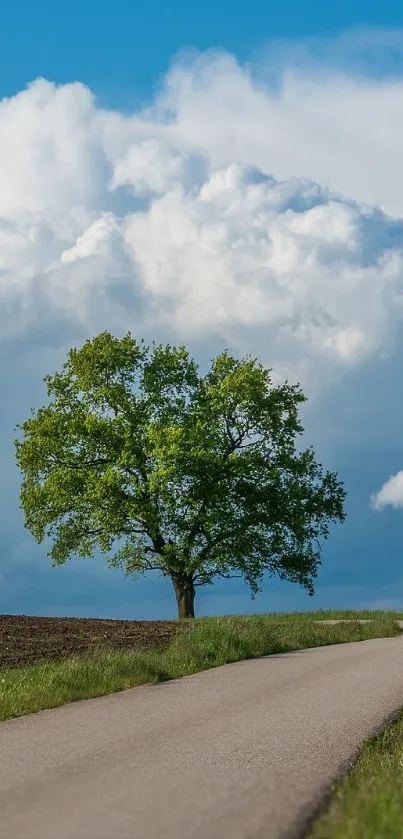 A lone tree stands beside a country road under blue skies and white clouds.