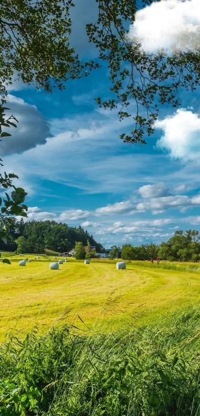 Countryside field with blue sky and green grass.