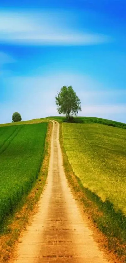 Serene pathway through green fields under a vibrant blue sky.