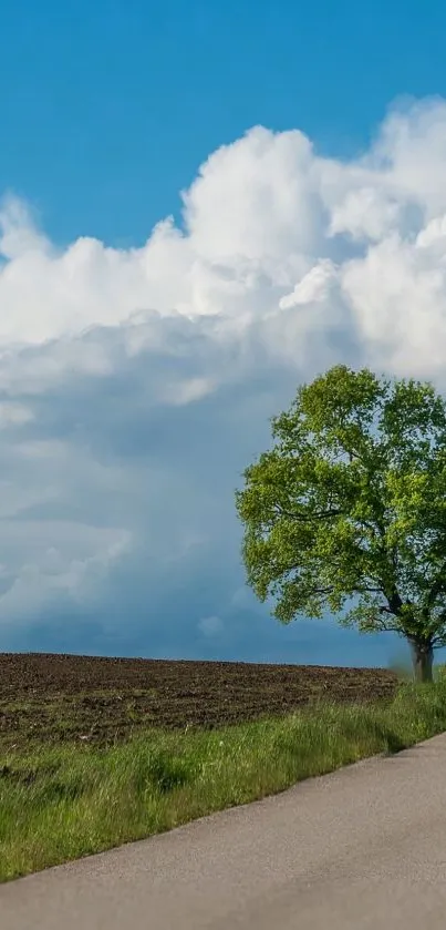 Scenic road with lone tree under blue sky and clouds.