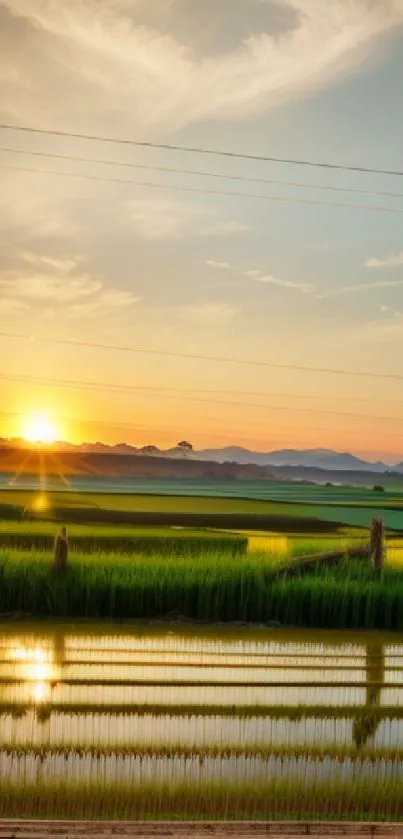 Sunset over serene green fields reflecting on water.