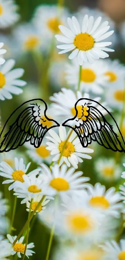 Mobile wallpaper of daisies with artistic wings.